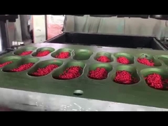 高品質のEVA素材 色彩豊かな粒子ペレット 靴製造